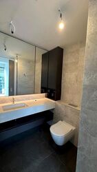 Amber Park (D15), Condominium #624093811
